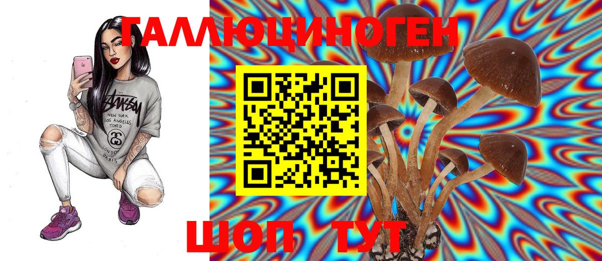 Псилоцибиновые грибы Magic Shrooms  Галлюциногенные грибы прущие грибы  Бахчисарай  Вход с VPN 